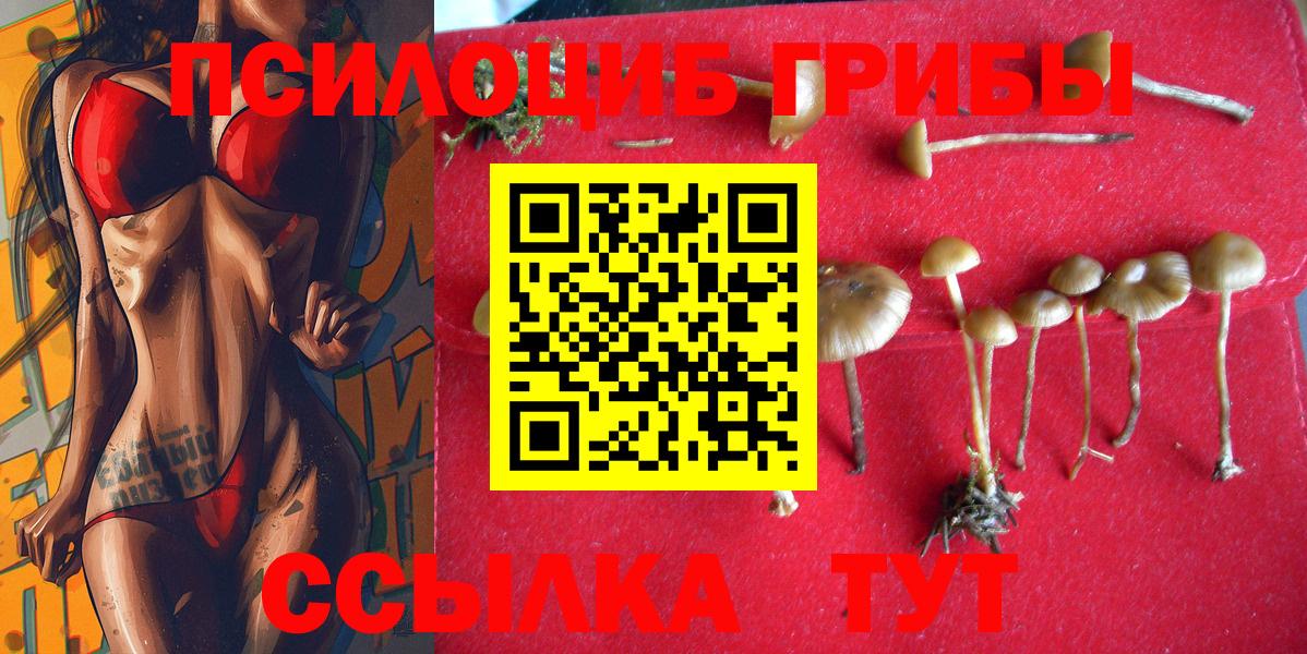 Дюртюли  Галлюциногенные грибы мицелий  Вход с VPN 
